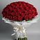Букет 101 Красная роза Блэк Мэджик в Талалихино