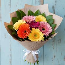 Букет цветов из:  Герберы в Талалихино