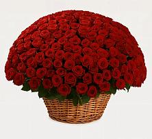 Премиум букет из: Розы в Талалихино