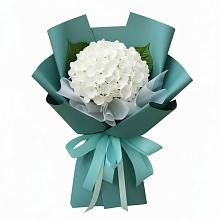 Букет цветов из:  Гортензия в Талалихино
